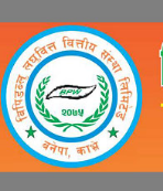 BPW Laghubitta Bittiya Sanstha Limited Promoter Share