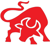 South Asian Bulls Pvt. Ltd.