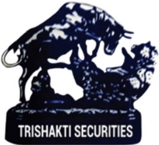 Trishakti Securities Public Limited