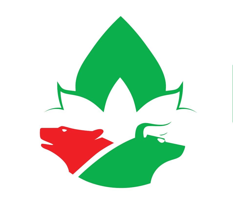KALASH STOCK MARKET PVT. LTD.